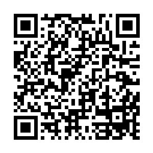 火精灵的雏鸟身躯便如充了气的皮球般迅速扩大着二维码生成