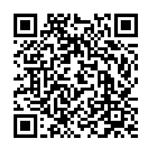 火红的能量晶石在流逝过所有的能量后变成一片苍白二维码生成