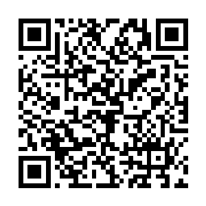 火红的莲海在接近许紫烟的那一刹那被收进了并蒂莲内二维码生成