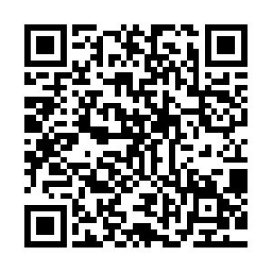 火羽是除了林铭和火纹龙之外唯一一个天之回廊出身的试炼者二维码生成