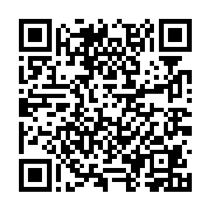 火舞回首看了一眼正在飞近的火威八个宗门内修士二维码生成