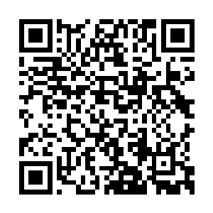 火阳炎珍而重之的抱着那块足以让人疯狂的牌子二维码生成