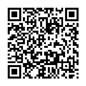 火鸦根本不给那灵体溃灭的火焰灵鸟任何反应机会二维码生成