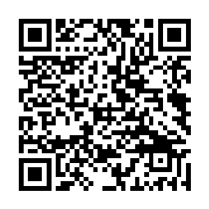 灭神拳套直接消失手中顿时出现了一柄金sè的长剑二维码生成