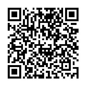 灭绝没像叶虞预料得一样将刀剑相击取出秘密而后重铸二维码生成