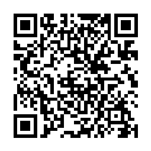 灭魂之地内充满了星兽死后留下的各种残念和不灭意志二维码生成