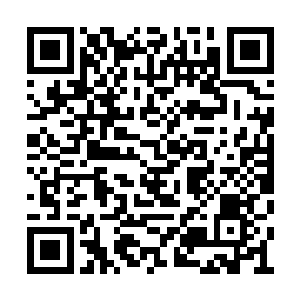 灯光映的她清丽的容颜显出不可思议的优美温柔二维码生成