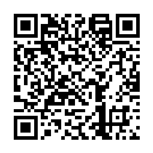 灯塔镇外突然出现了几个全身裹在黑袍里的血族战士二维码生成