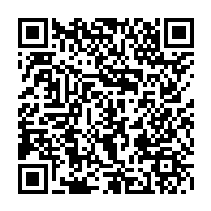 灰发的少年带着赤红色的火焰猛烈的冲过来也就不是什么不可理解的状况了二维码生成
