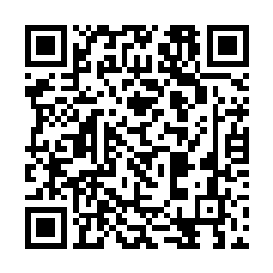 灰团子发出尖锐的鸣叫后雪狼立刻进入了戒备的状态二维码生成