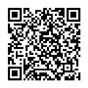 灰团子就是在这样强烈的背景下扑着翅膀从里面飞了出来二维码生成