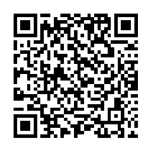 灰团子还非常应景的扑棱着翅膀在屋的上空飞了一圈二维码生成
