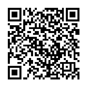 灰白的眸淡淡的睃了眼容颜姣好宛若花信之年的花千束二维码生成