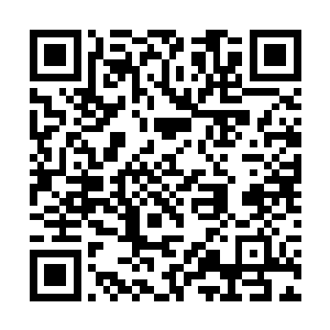 灰色的火焰之中也带着一股股令人心悸的毁灭的气息二维码生成