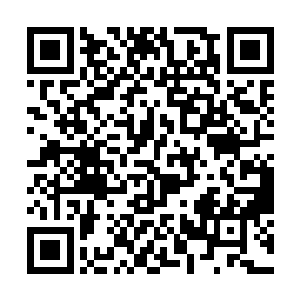 灰衣中年人身后的那个桀骜不驯的年轻人赶紧接住他二维码生成