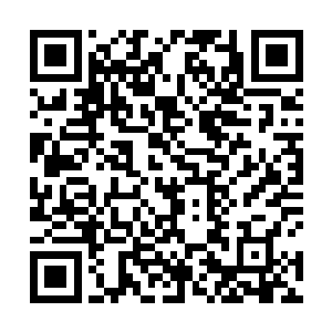 灰衣老者则直接狠狠的朝着龙傲天的身上拍了一掌过来二维码生成