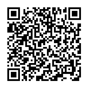 灰衣老者竟然从龙傲天的身上感受到了一股无比恐怖的浓浓的威胁二维码生成