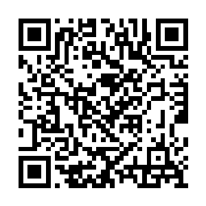 灰雾女士把两人带到了十一楼一间全封闭的仓库二维码生成