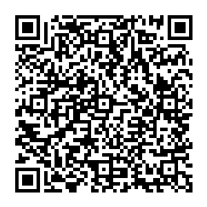 灰黑色的燕尾草和青褐色夹杂白点的吐丝草交错分布在看似平坦但仔细观察却又起伏的荒地上二维码生成