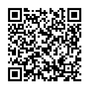 灵体修炼之法和精神力修炼之法都是很珍贵的功法二维码生成