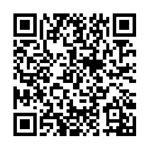 灵儿那瓷娃娃般的脸蛋也是第一次露出了担忧的表情二维码生成