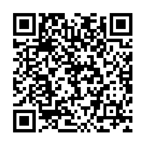 灵兽也能被控制说明吸收天地灵气也一样存在被控制的风险二维码生成