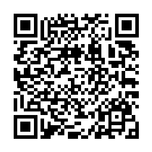 灵剑仿佛都难以承受这一股霸道强大的力量而发出悲鸣二维码生成