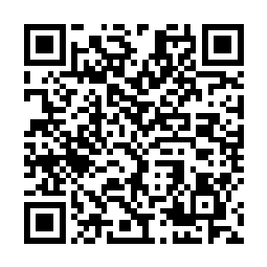 灵力伴随着紫气似乎无法控制地从张潇晗周身释放出来二维码生成