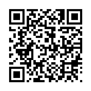 灵动的身体犹如一只擅于飞窜的狸猫二维码生成