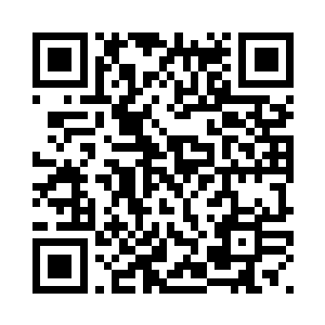 灵宝不忿地挥舞着两只前爪抗议着二维码生成