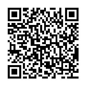 灵宝城愿意将上古遗迹得到的利益中的那两成中的一半送给许家二维码生成