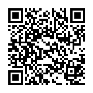 灵感来自在西大陆看骨器比赛时大家使用的投票器二维码生成