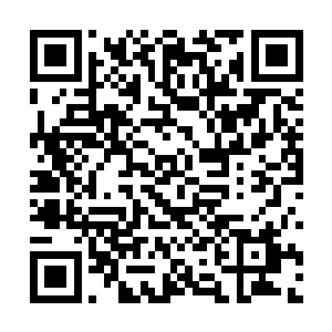 灵感自然是来源于前世1857年美国人郎氏发明的活框蜂箱二维码生成