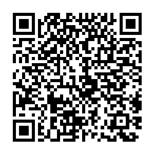灵晶矿脉可是跟杨戬之前的时候在神武大陆发现的灵石矿脉不能相比的二维码生成