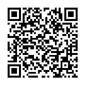 灵气的力量已经不能对二星的上古巨兽造成伤害了二维码生成