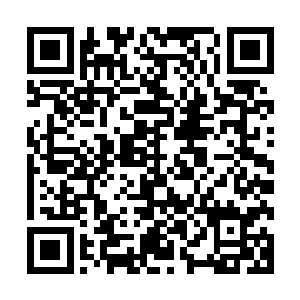 灵灵知道我请假了之后竟然还跑到你们班去看你有没有去学校二维码生成