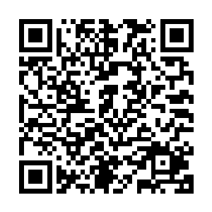 灵犀炼体诀瞬间就被九心莲的力量顶到第四重巅峰达到大成级别二维码生成