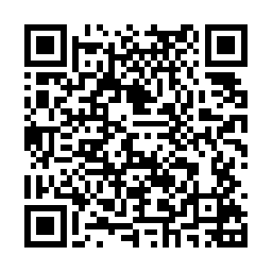 灵王看了一眼咸阳城上空那不断聚集涌动着的煞气二维码生成