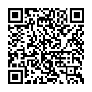 灵珊如果你能够从柳兰芳嘴里问出步菲雪的下落二维码生成