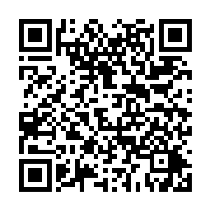 灵级巅峰灵魂就悄无声息的将这两位弟子震得昏迷二维码生成