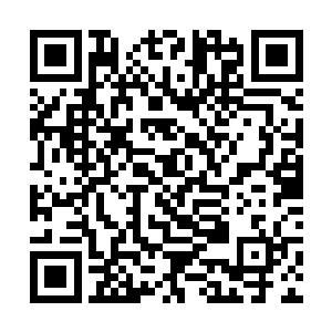 灵草仙药最多的也不过就是后羿埋身之处的蛮乱之地二维码生成