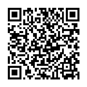 灵药这种珍贵的宝物肯定是被小心翼翼的保护起来的二维码生成