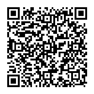 灵虚现在能做的就是用自己身体为主人圈出一个不受周围玩家波及的安全空间而已二维码生成