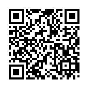 灵识一点一点地在灵灵的身体当中扫视着二维码生成