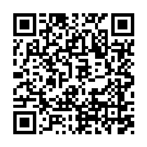 灵识聚身术也得停下……而失去了超速度的支持二维码生成