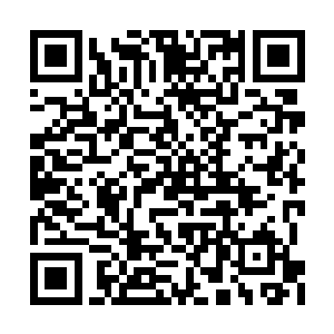 灵阵正是当初九幽宫圣主截杀赵峰所布置的大阵二维码生成