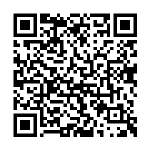 灵魂力达到气海巅峰的优势在危急关头显现出来二维码生成