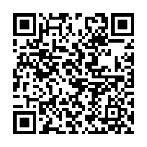 灵魂却是还抵不住代离全方面爆发的最强灵魂攻击二维码生成