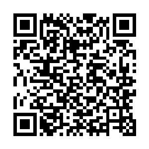 灵魂的碎片就好像小白龙的鳞片一般在蔚蓝天空中缓缓消散二维码生成