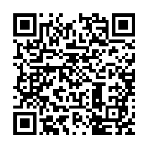 灵魂精血立刻像是水滴落在沙土上似的渗入薄片状物消失不见二维码生成